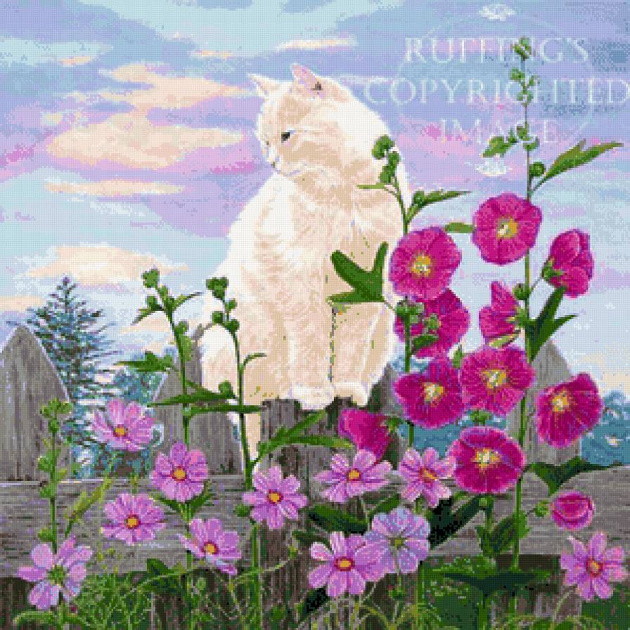 на заборчик я залез - цветы, котики - предпросмотр