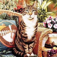 Схема вышивки «портретогеничный»