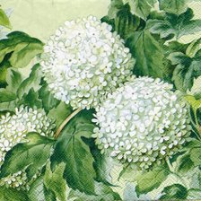 Схема вышивки «Бульдонеж»