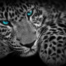 Схема вышивки «тигр»