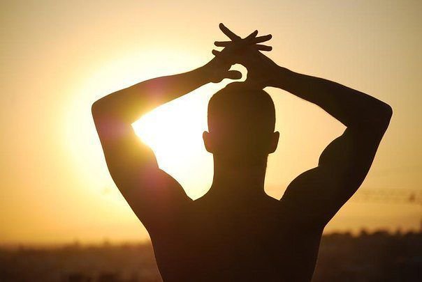 зак - оригинал