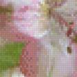 Предпросмотр схемы вышивки «альстельмерия» (№597839)