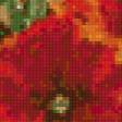 Предпросмотр схемы вышивки «маки» (№597866)