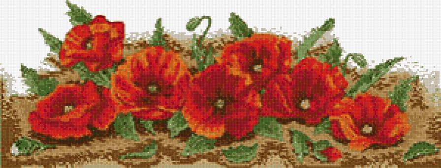 маки - цветы - предпросмотр