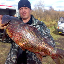 Схема вышивки «макс»
