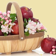 Схема вышивки «корзинка»