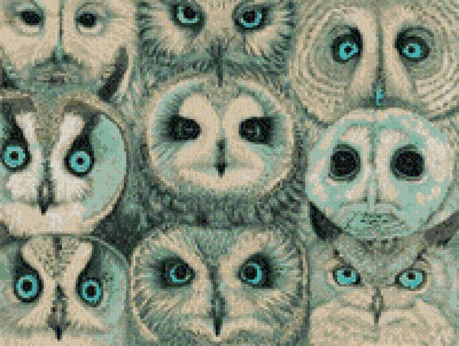 Совушки - совы, птицы - предпросмотр