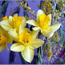 Схема вышивки «№598360»