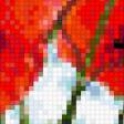 Предпросмотр схемы вышивки «Маки» (№598382)