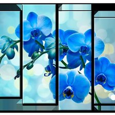 Схема вышивки «Полиптих Орхидеи»