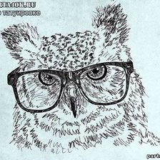 Схема вышивки «Модная сова»