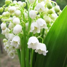 Схема вышивки «№598419»