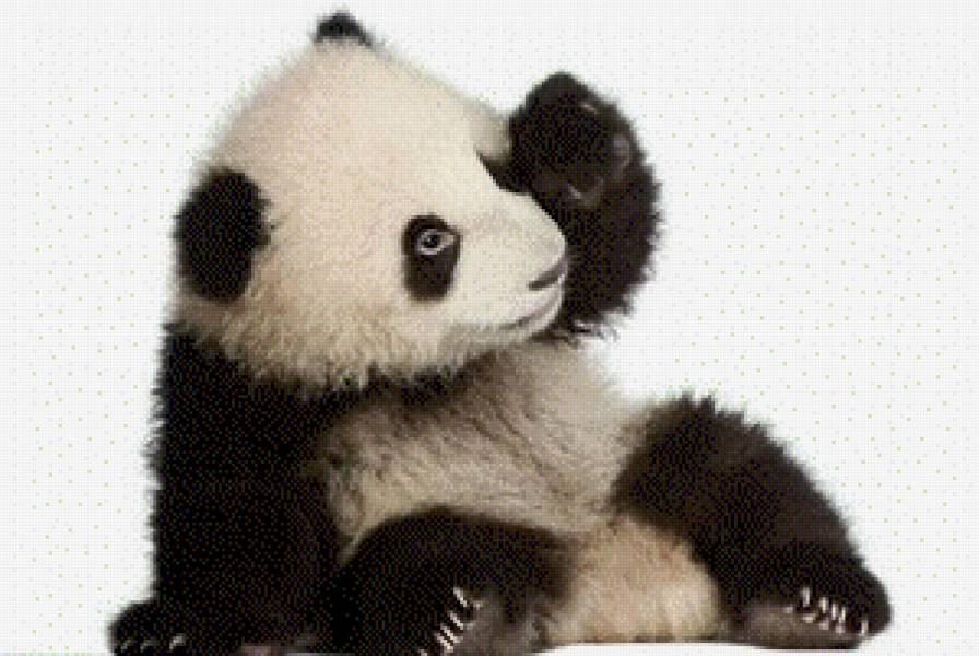 зачем меня разбудили - предпросмотр