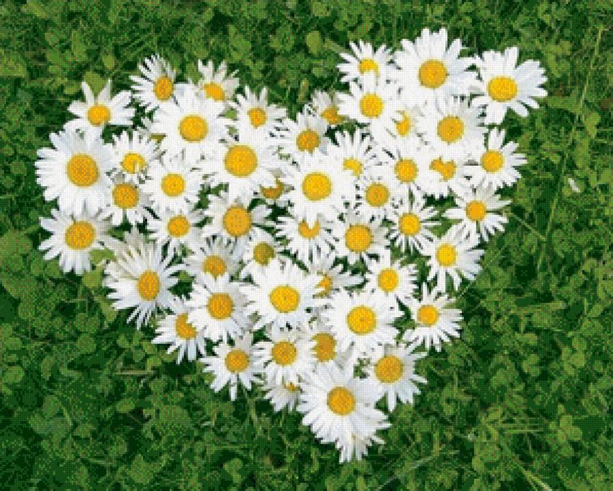 №598438 - предпросмотр