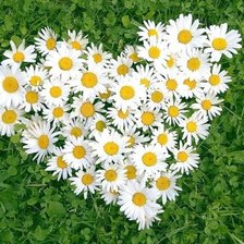 Схема вышивки «№598438»