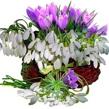 Схема вышивки «№598439»