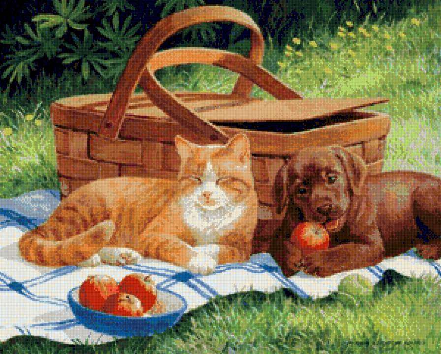 пикник - котики, собаки, животные - предпросмотр
