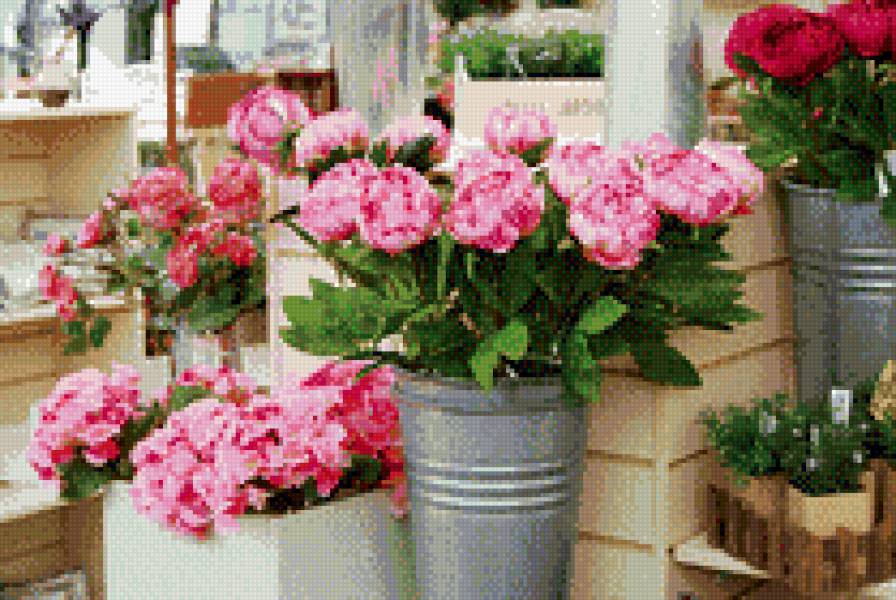 Цветочная лавка - цветы, лавка - предпросмотр