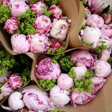 Схема вышивки «Пионы»