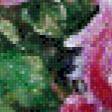 Предпросмотр схемы вышивки «розы» (№598704)