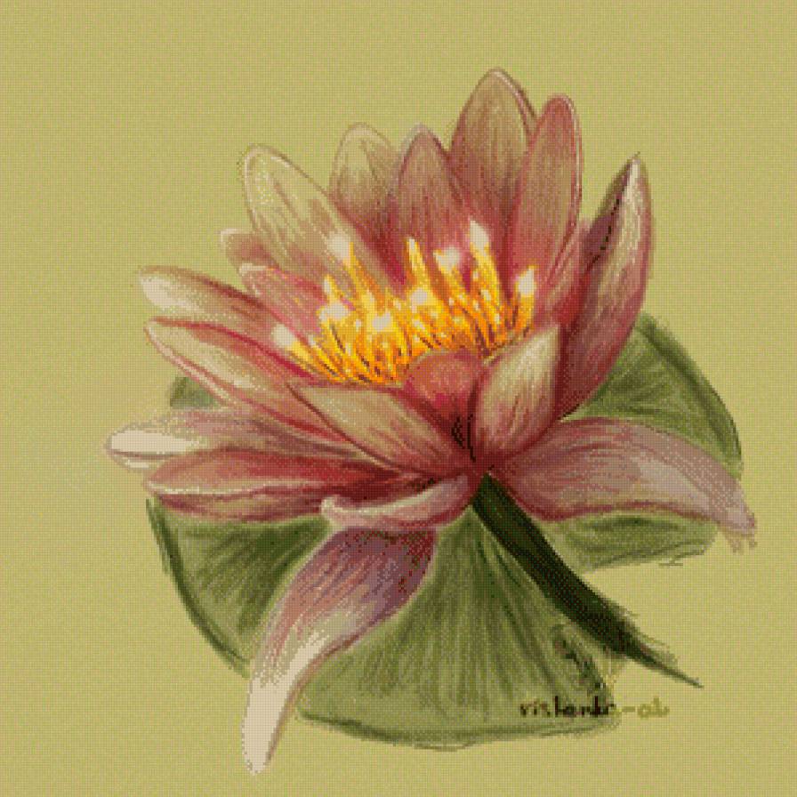 Одинокий лотос - азия, цветы, восток - предпросмотр