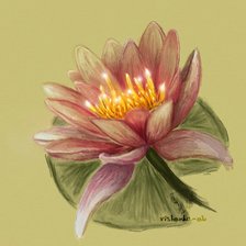 Схема вышивки «Одинокий лотос»