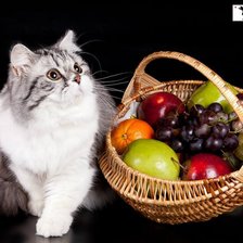 Схема вышивки «серия "корзины"»