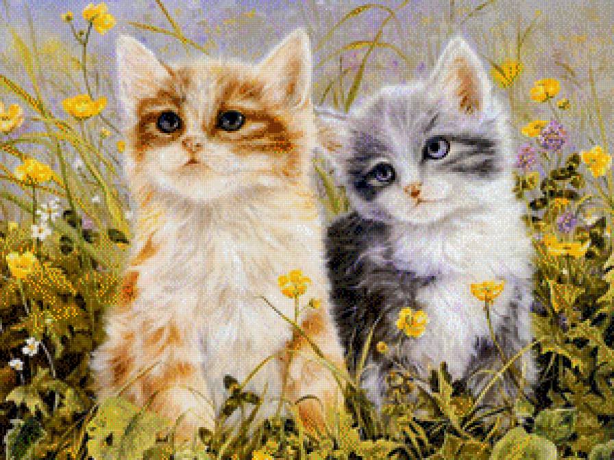 котятки - предпросмотр