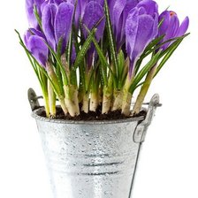 оригинальненько