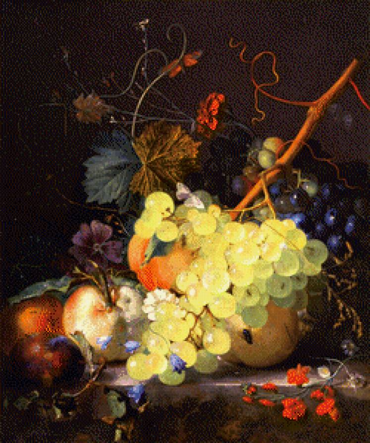 ван хейсум - натюрморт, виноград - предпросмотр
