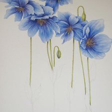 Схема вышивки «Цветы.Акварель»