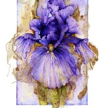 Схема вышивки «Ирисы.Акварель»