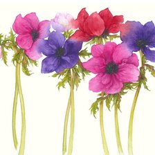 Схема вышивки «Цветы.Акварель»