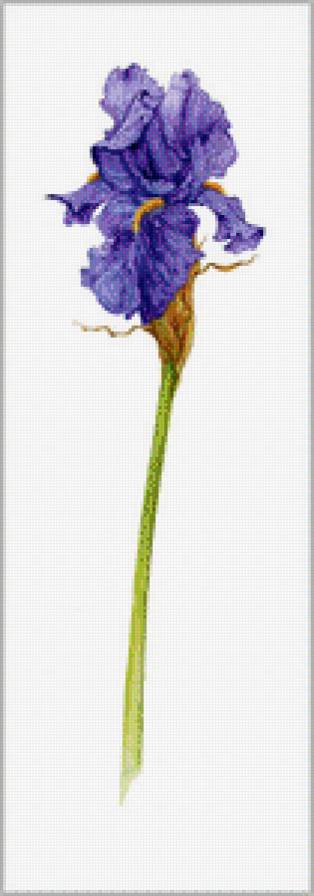 Цветы.Акварель - акварель, джен харбон, букеты, цветы, живопись - предпросмотр