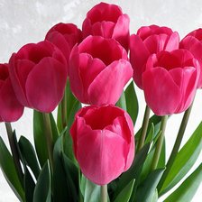 Схема вышивки «№599008»