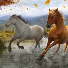 Схема вышивки «кони»