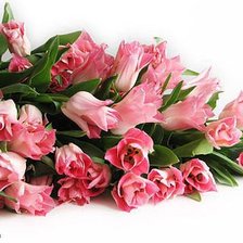 Схема вышивки «№599012»