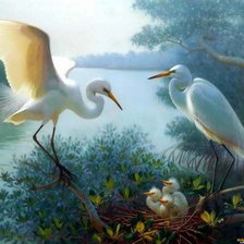 Схема вышивки «Аисты»