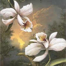 Схема вышивки «орхидеи»