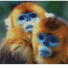 Схема вышивки «золотистые мартышки»