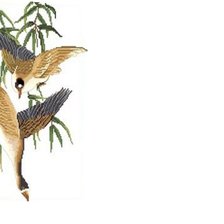 триптих 3 гуси-лебеди