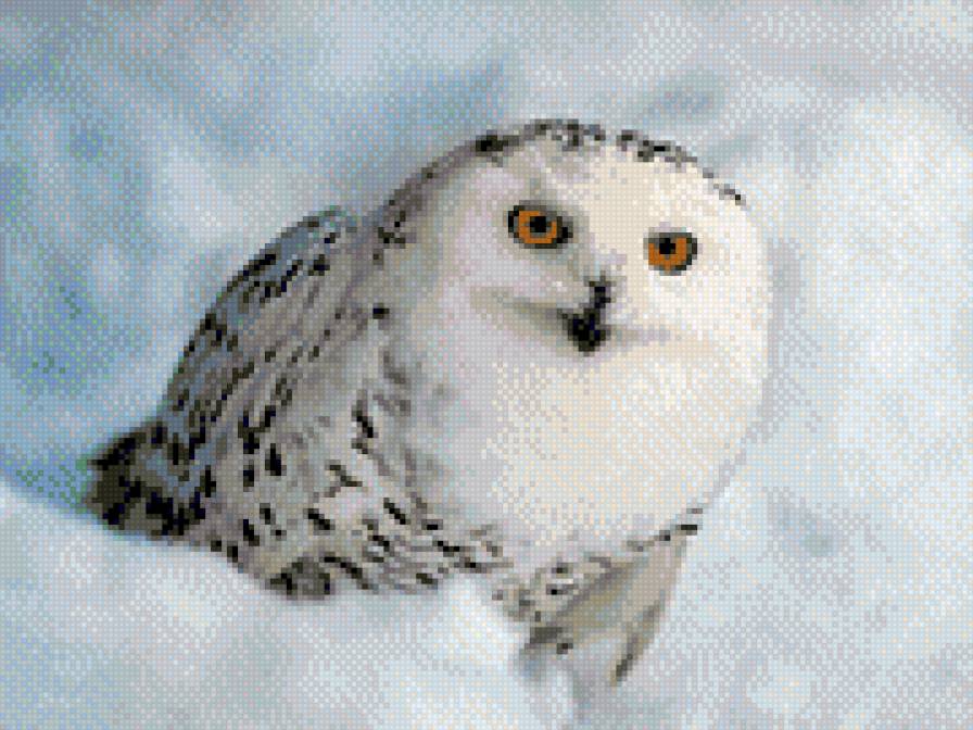 полярная сова - филин, птицы, сова - предпросмотр