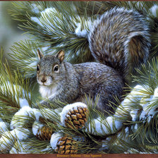 Схема вышивки «белочка»