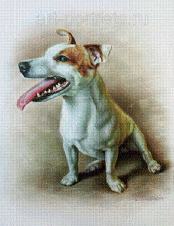 Песик - собаки, животные - предпросмотр