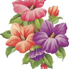 Схема вышивки «гибискус»