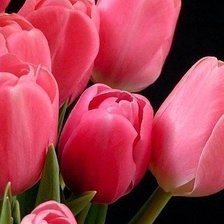 Схема вышивки «№599498»