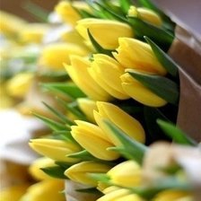 Схема вышивки «№599500»