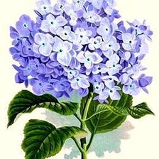 Схема вышивки «№599586»