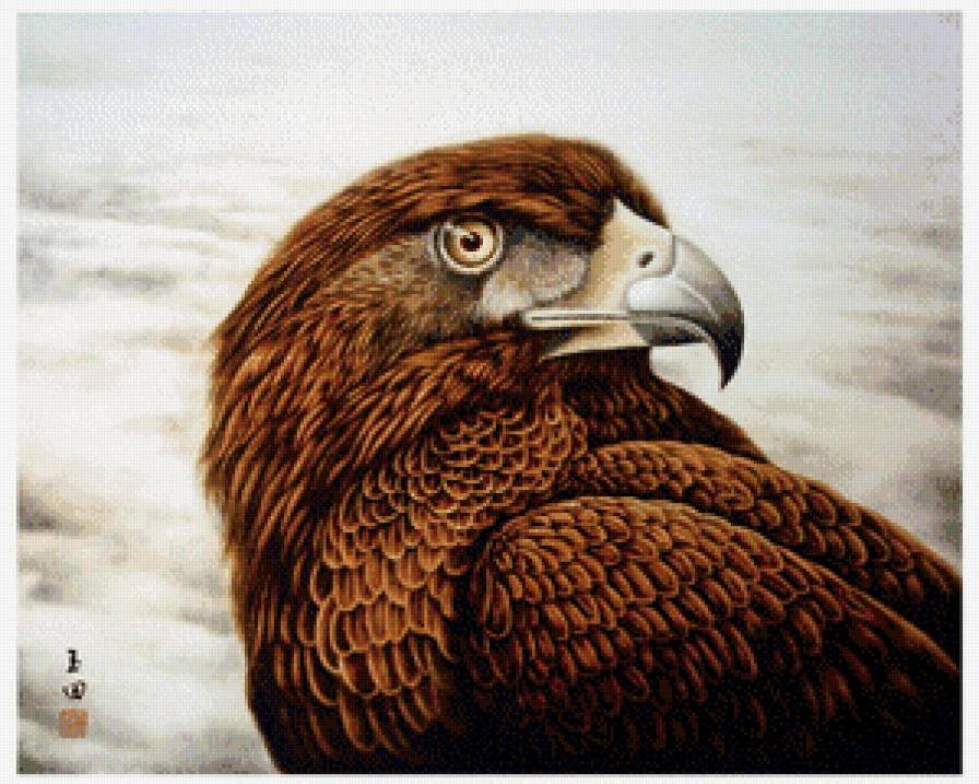 Гордая птица - орел, птицы - предпросмотр