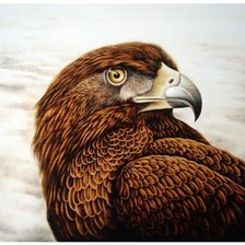 Гордая птица